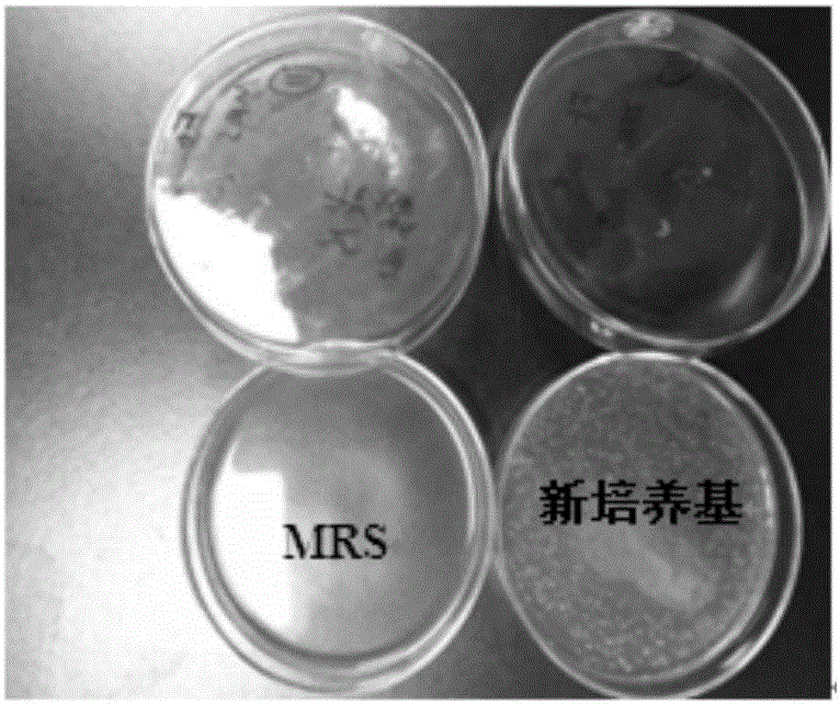 一种啤酒有害菌选择性培养基及其应用的制作方法与工艺