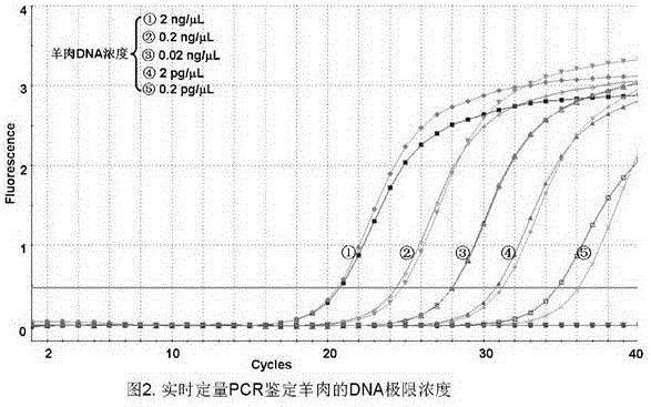 一種qPCR鑒定羊肉的方法與流程