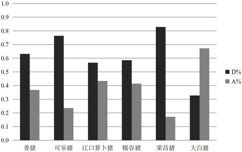 一种鉴别地方猪品种的结构变异SV200分子标记的制作方法与工艺