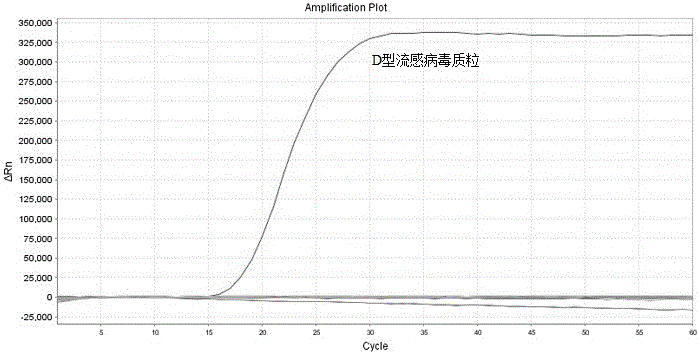 一种用于检测D型流感病毒的RT‑LAMP引物及检测方法与流程
