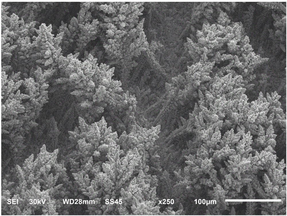 一種具有天然多尺度樹枝狀微針翅銅表面結(jié)構(gòu)及其制備方法與流程