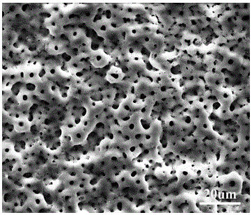 一种钛合金含锶生物涂层的微弧氧化溶液及其应用的制作方法与工艺