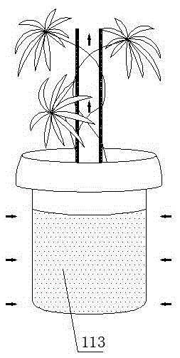 绿植空气净化器的制作方法与工艺