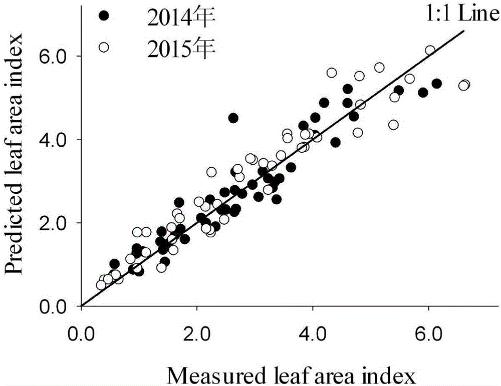 一种基于冠层图像参数的冬小麦叶面积指数估算方法与流程