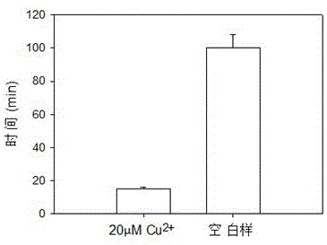 基于計時策略的免儀器二價銅離子檢測方法與流程