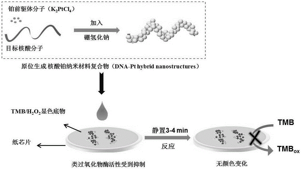 一種利用紙芯片比色分析裝置檢測核酸濃度的方法與流程