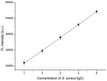 金黄色葡萄球菌的荧光检测试剂盒及其使用方法与流程