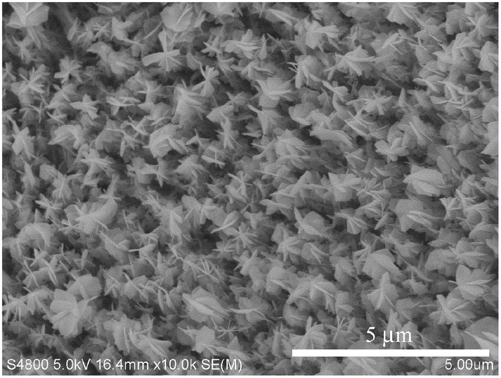 一种介孔Co3O4纳米线@NiCo2O4纳米片分级核壳阵列材料、制备方法及应用与流程