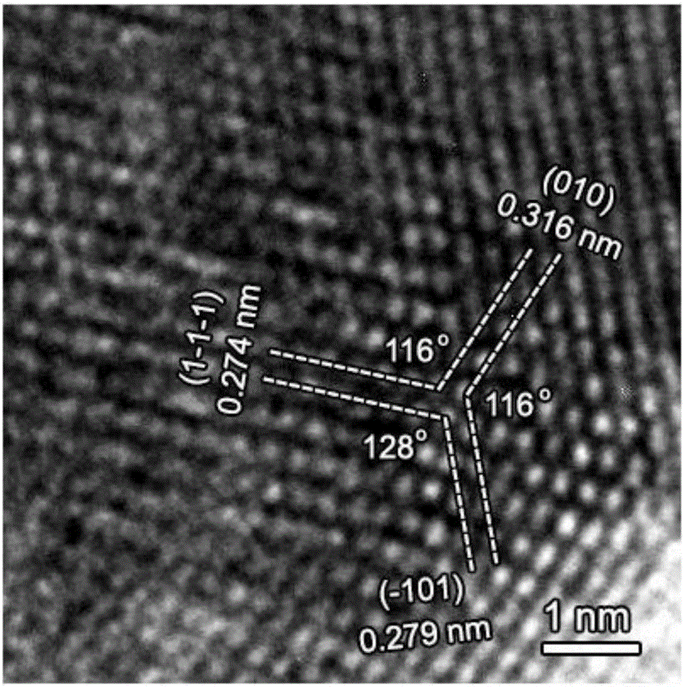 一种(101)晶面择优生长的SnS2纳米片负极材料的制备方法与流程