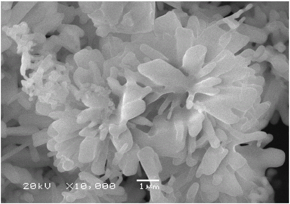一种具有花状结构的焦磷酸铁钠材料及其制备方法和应用与流程