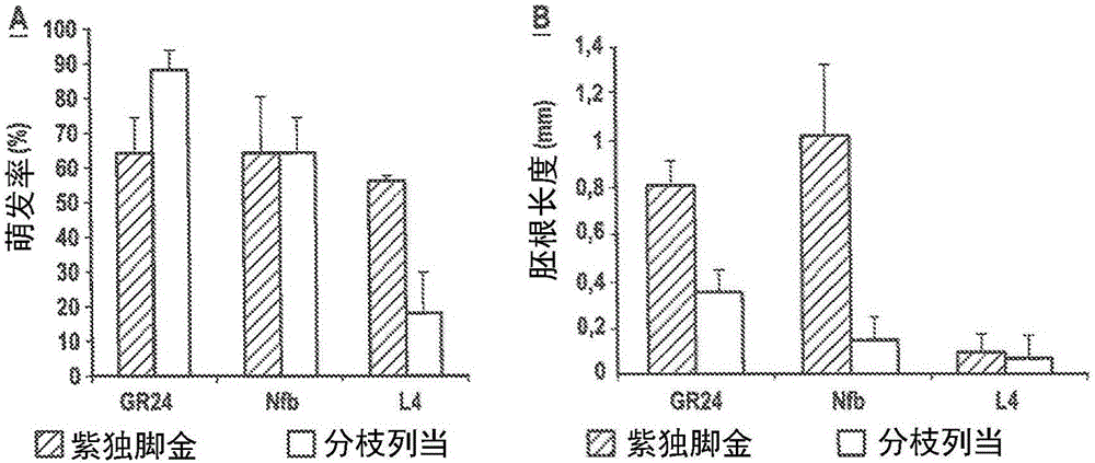 二羧酸用于控制全寄生或半寄生植物生長(zhǎng)的用途的制作方法與工藝