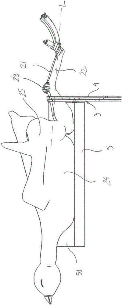 一种用于将禽放置在适于被悬挂在钩环上的位置的方法和装置与流程