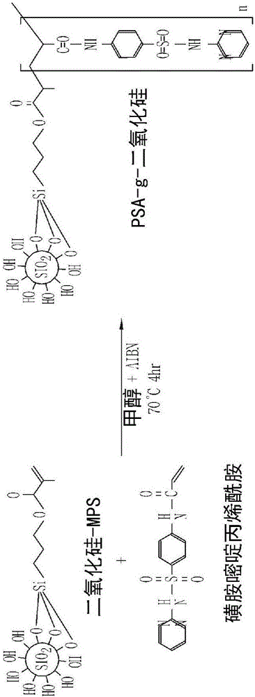 具有抗菌和親水性能的膜及其制備方法與流程