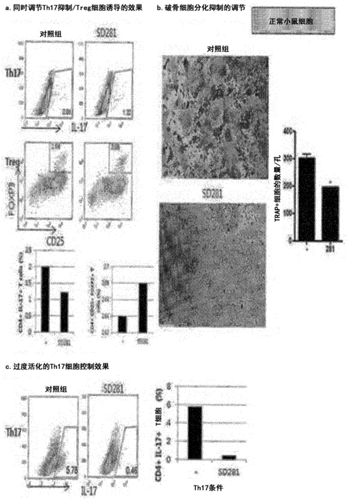 具有免疫疾病治療效果的新型化合物及其應(yīng)用的制作方法與工藝