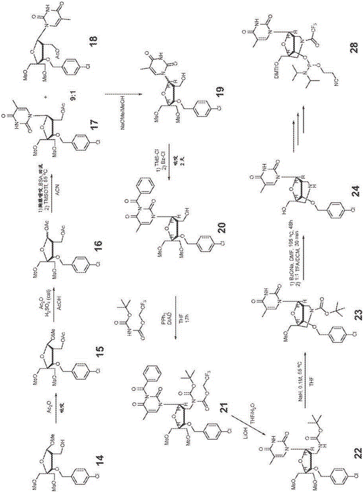 雙環(huán)核苷的合成的制作方法與工藝