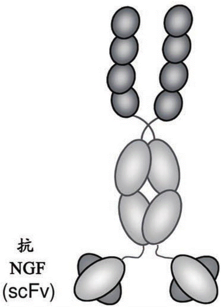 用于治療疼痛的化合物和方法與流程