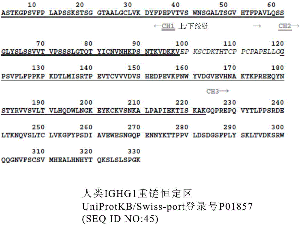 用于腫瘤治療之方法及抗體組成物與流程