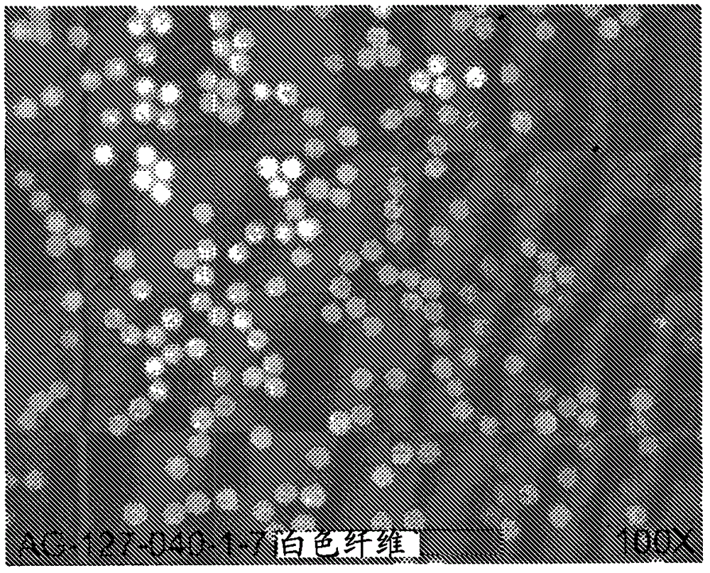 具有低多分散指數(shù)(PDI)的聚丙烯腈(PAN)聚合物及由其制成的碳纖維的制作方法與工藝