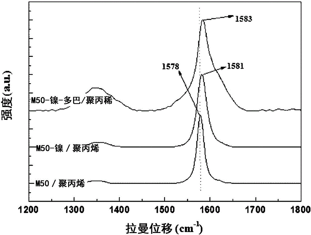 基于复合材料制备用儿茶酚胺‑板状石墨的高分子复合体的制作方法与工艺