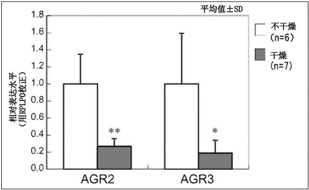 評(píng)價(jià)皮膚干燥的狀態(tài)的方法與流程