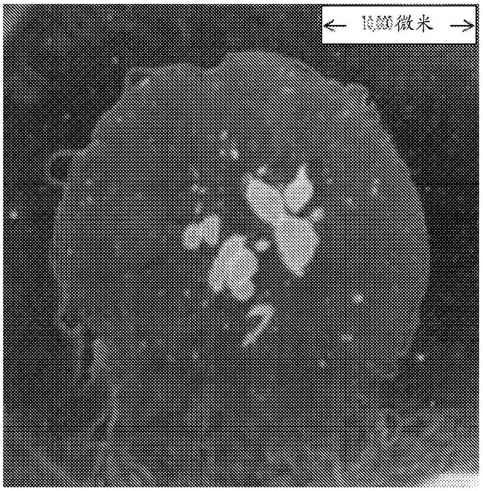 制备包含单烷基胺阳离子表面活性剂、阳离子表面活性剂和多元醇的毛发调理组合物的方法与流程