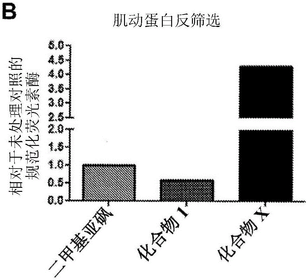 抗病毒化合物、医药组合物及其使用方法与流程