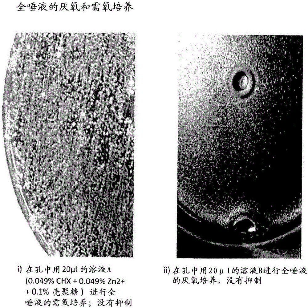 口用组合物的制作方法与工艺