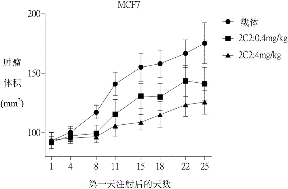 抗體、產(chǎn)生所述抗體的雜交瘤、及其用途的制作方法與工藝