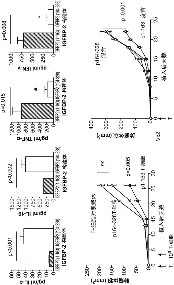 乳腺癌和卵巢癌疫苗的制作方法与工艺