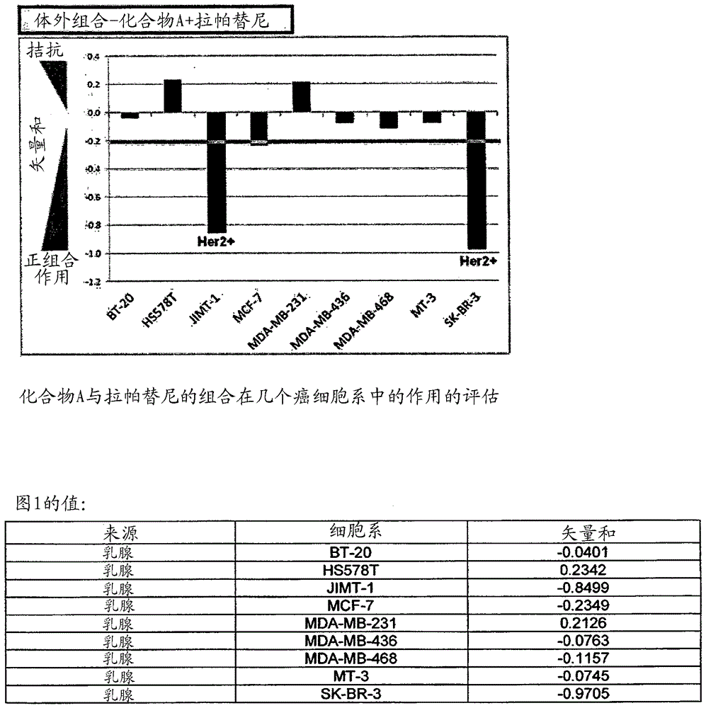 癌症治疗剂的组合的制作方法与工艺