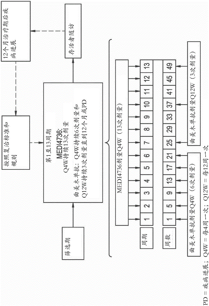 用于治疗非小细胞肺癌的抗‑B7‑H1和抗‑CTLA‑4抗体的制作方法与工艺