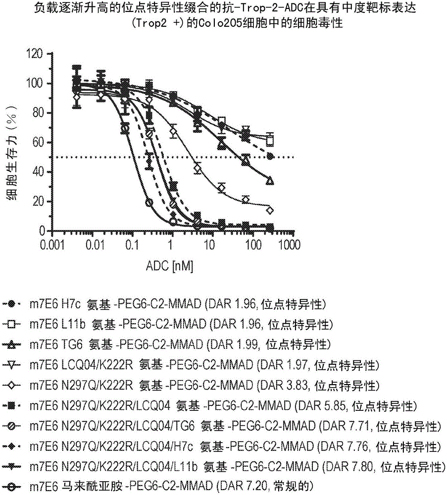 具有高药物负载的抗体‑药物缀合物的制作方法与工艺