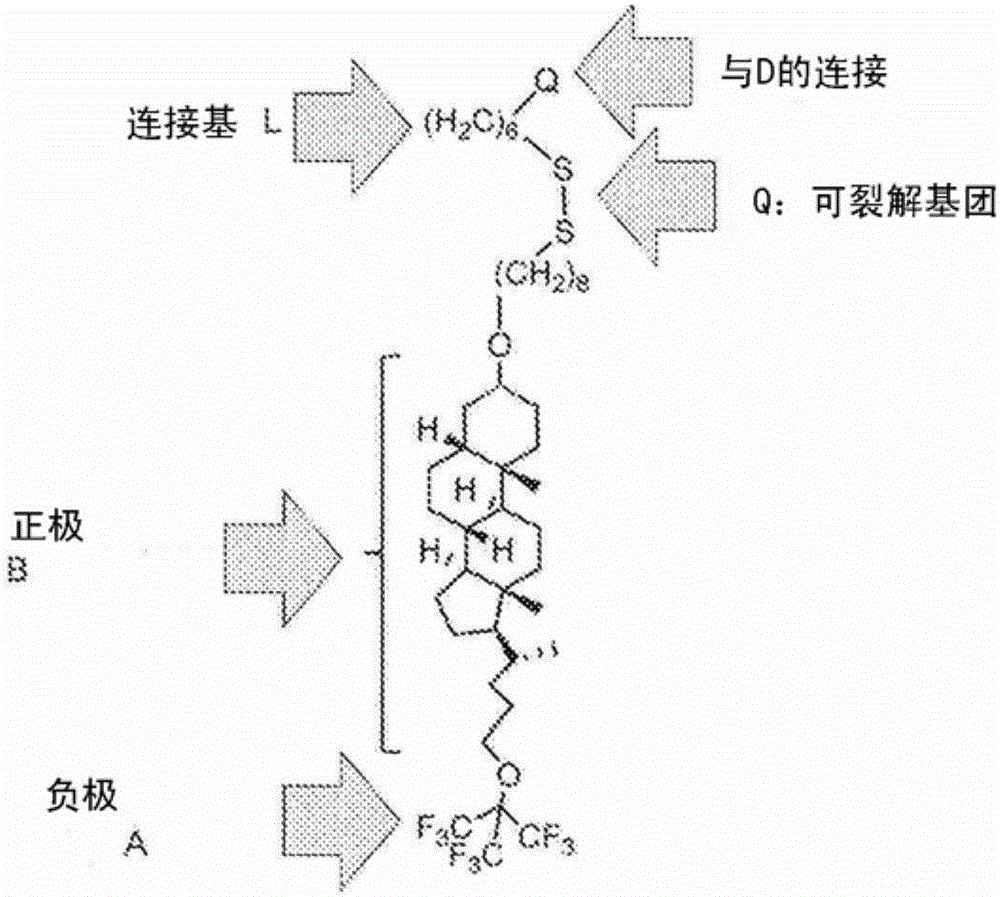 用于分子的跨膜递送的化合物和方法与流程