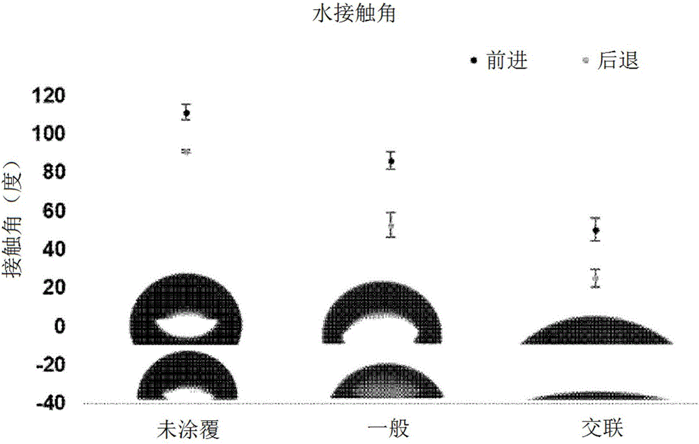 涂覆有交联的聚磷酸胆碱的体内植入式假体的制作方法与工艺