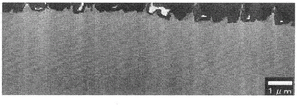 固體高分子形燃料電池的分隔件用鈦材料、分隔件、及固體高分子系燃料電池的制作方法與工藝