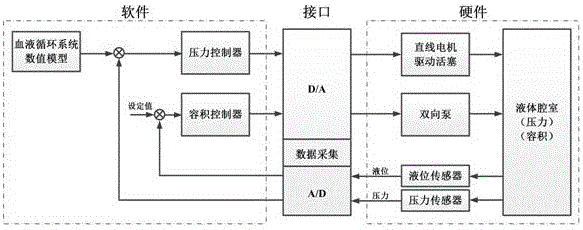 一种用于体外模拟血液循环的模拟腔室的制作方法与工艺