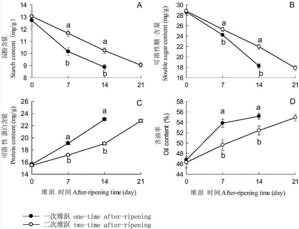 一种香榧种子堆沤后熟的方法与制造工艺