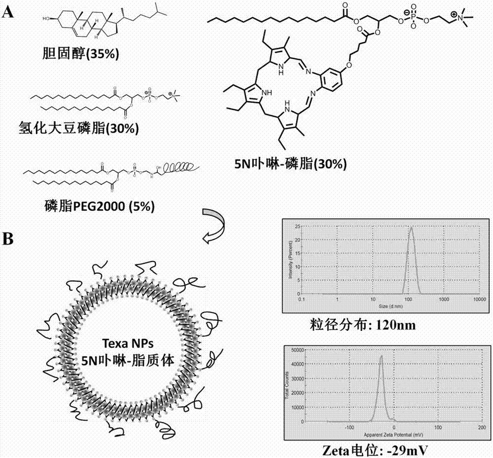 一種卟啉脂質(zhì)體放射性藥物99mTc?Texaphyrin NPs及其制備方法與制造工藝