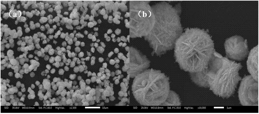 氮掺杂碳量子点修饰钨酸铋复合光催化剂及其制备方法和应用与制造工艺