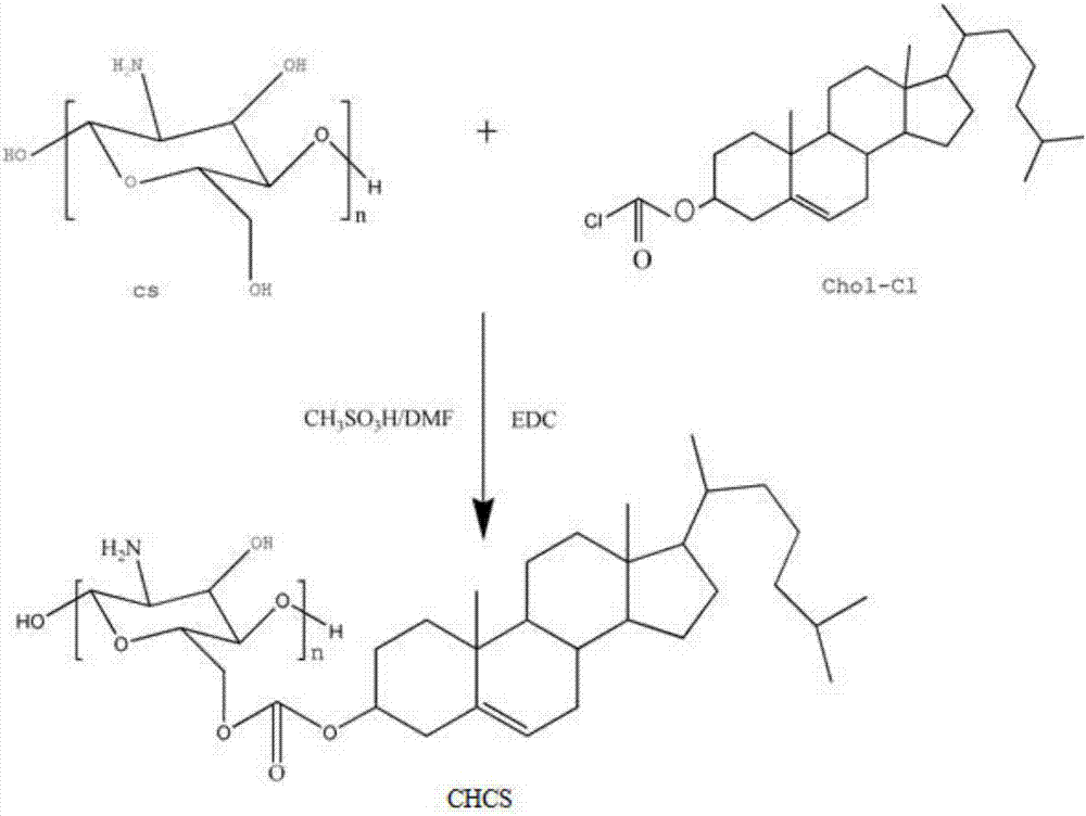 一种两亲性壳聚糖衍生物抗蛋白质吸附涂层的制备方法和应用与流程