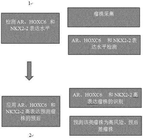 前列腺癌診斷用基因組及其應用的制造方法與工藝