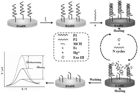 温度可控的电化学汞离子传感器及其制备方法与流程