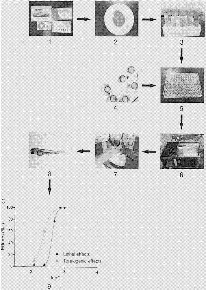 一种利用斑马鱼胚胎快速评价中成药潜在致畸性的方法与流程