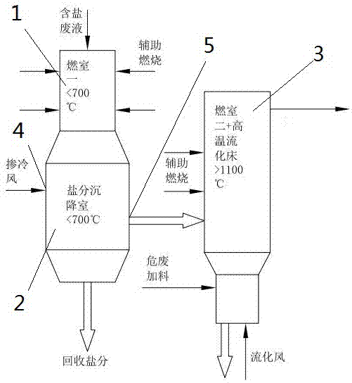 一种联合处理高含盐有机废液及危险固废的装置的制造方法