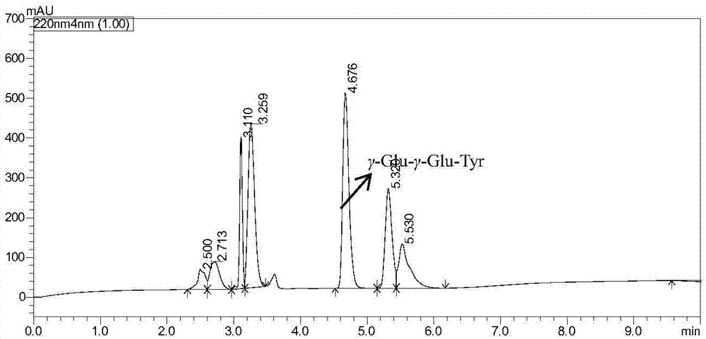 寡肽γ?Glu?γ?Glu?Tyr、濃厚味賦予劑、調味料及其制備方法與制造工藝