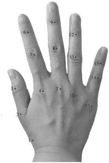 基于Hausdorff距离的动态手势识别方法与流程