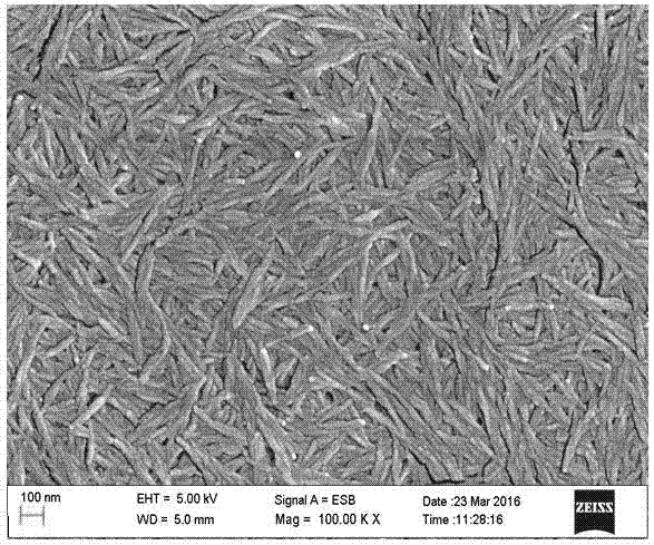 一种基于纳米纤维素晶须MoS2/石墨烯复合对电极材料及其制备方法和应用与流程