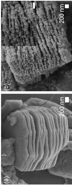 一种微波辐射制备二氧化钛/层状碳复合材料的方法与流程