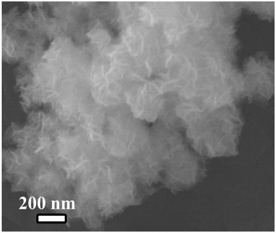 一种氮掺杂碳纳米球/二硫化钼钠离子电池负极片的制备方法与流程