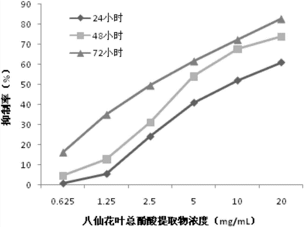 一種八仙花葉提取物及其藥物組合物、制備方法和應(yīng)用與流程